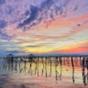 Meet your Posher, Morris